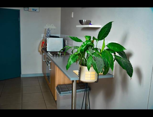 1 BEDROOM PROPERTY TO RENT IN SALT RIVER
